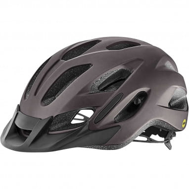 Compel MIPS Helmet - Grey Matte Metallic