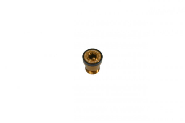 Thru Axle Bolt - Transmission - bronze