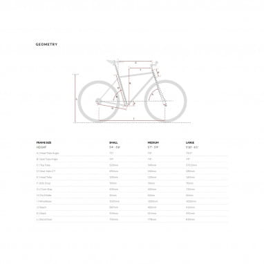 Bicicletta da città Odyssey 8SP - argento brandford