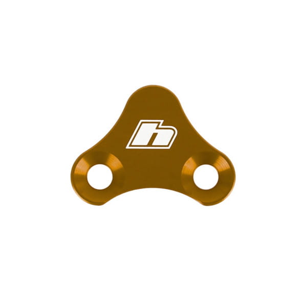 Sensor E-Bike R32 - Bronce