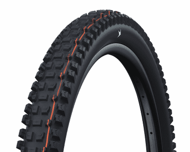 Albert Evo, Gravity Pro, folding tire TLR, Soft - 29"