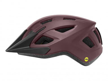 Path MIPS Fahrradhelm - Matte Fig