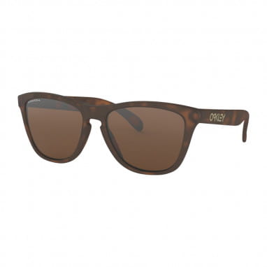 Frogskins Matt Tortoise - Prizm Tungsten