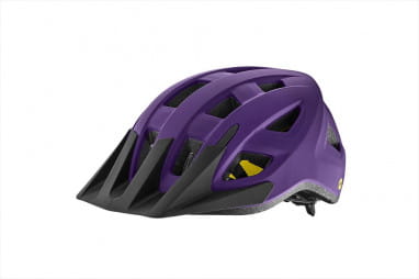 Path ARX MIPS Helmet - Matte Purple