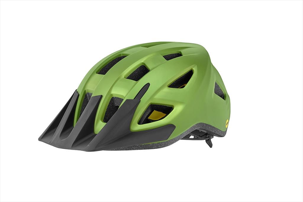 Giant Path ARX MIPS Helmet - Matte Green | Bike Helmets | BMO Bike ...
