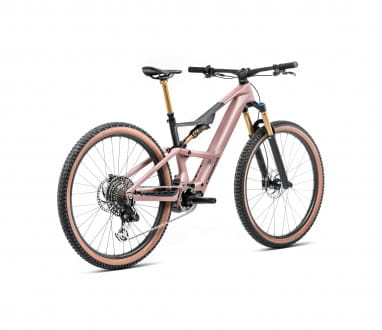 RISE SL M-LTD 630W - Desert Rose - Carbon Raw (Matt)