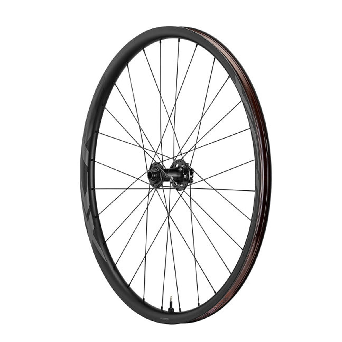 ~ kant dagboek Zeemeeuw Giant XCR 2 MTB Carbon 29 - Voorwiel | 29 inch wielen | BMO Bike Mailorder