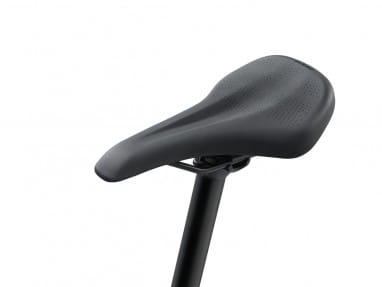 Fathom E+ EX (29"/Sport/625Wh)