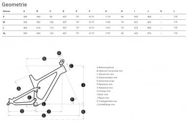 Pace Team Champagne - Raw Carbon