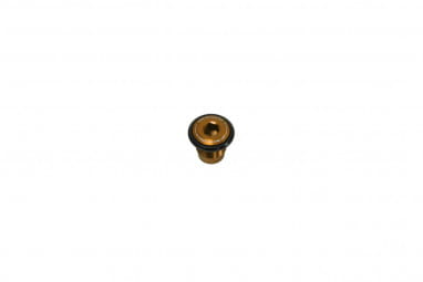 Thru Axle Bolt - UDH - bronze