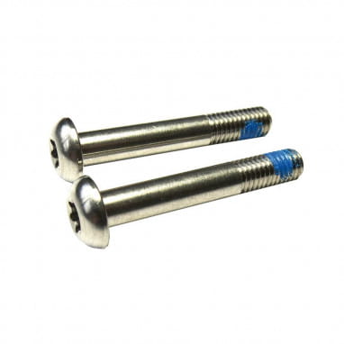 Screws for flat mount adapter - stainless steel (2 pcs.)