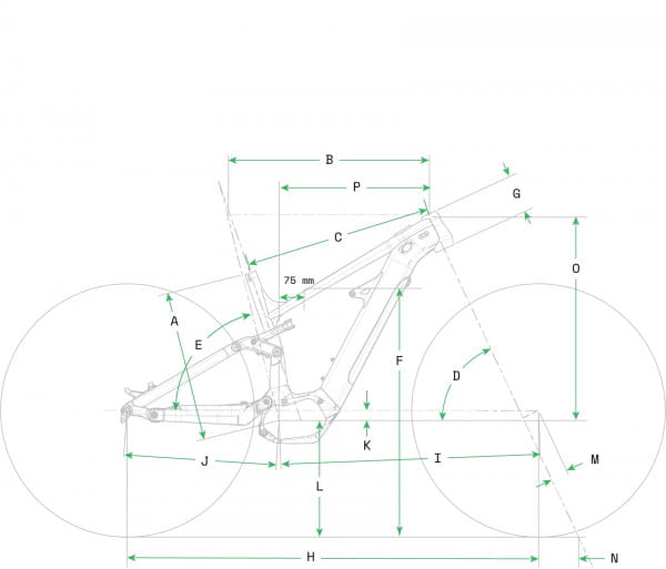 Moterra Neo S3 - Pine