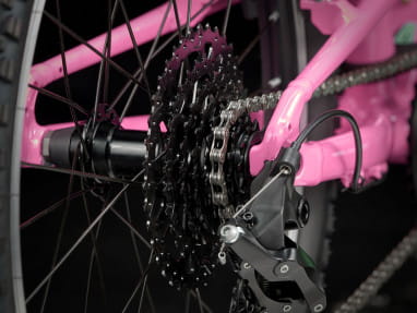 Wahoo 20 Path - Pink Frosting