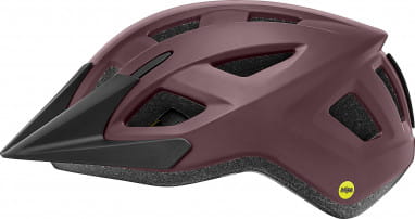 Path MIPS Bike Helmet - Matte Fig