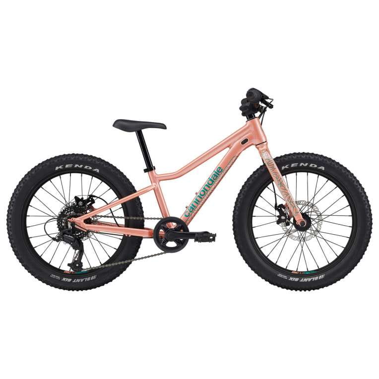 Cannondale キッズMTB cujo 20 インチ