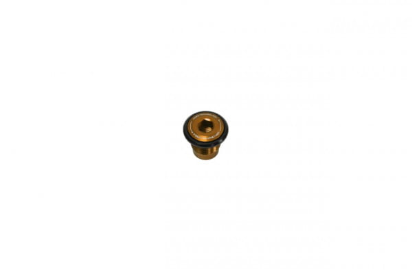 Thru Axle Bolt - UDH - bronze