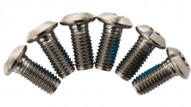 Titanium screws for brake discs - silver