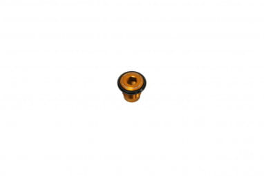 Thru Axle Bolt - UDH - orange