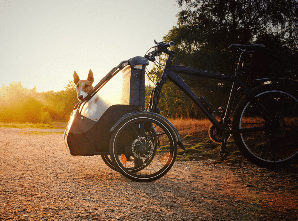 Addbike Dog Kit (AddBike + Carry Dog) Fahrradanhänger BMO Bike