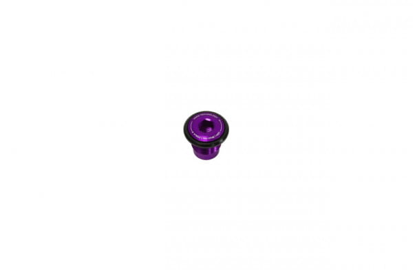 Thru Axle Bolt - UDH - purple