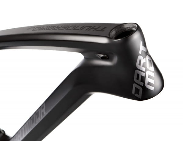Enduro Carbon Rahmen Thunderbird 29'' Schwarz Medium o. Dämpfer