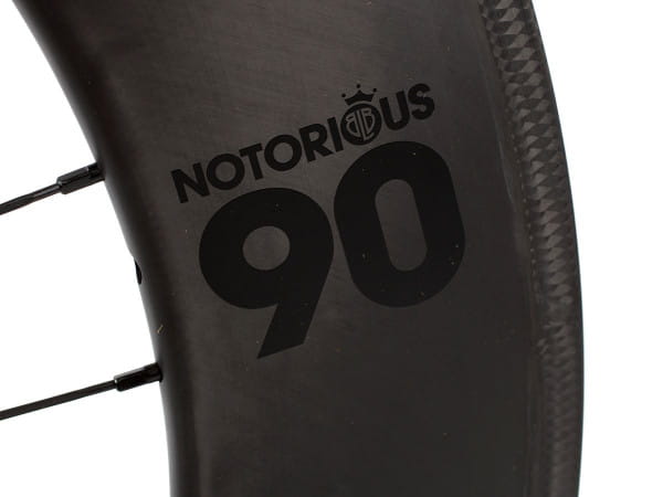 Notorious 90 Hinterrad fixed/fixed
