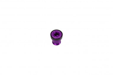 Thru Axle Bolt - Transmission - purple