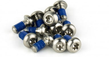 Rotor fixing screw - titanium, T25