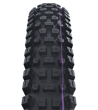 Albert Evo, Gravity Pro, folding tire TLR, Ultra Soft - 29"