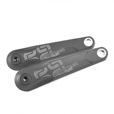 e*spec Plus Kurbel Brose S Mag-Fazua-TQ - schwarz