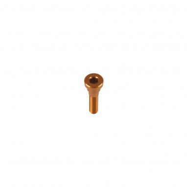 Top Cap / Grip Doctor Bolt - Bronze