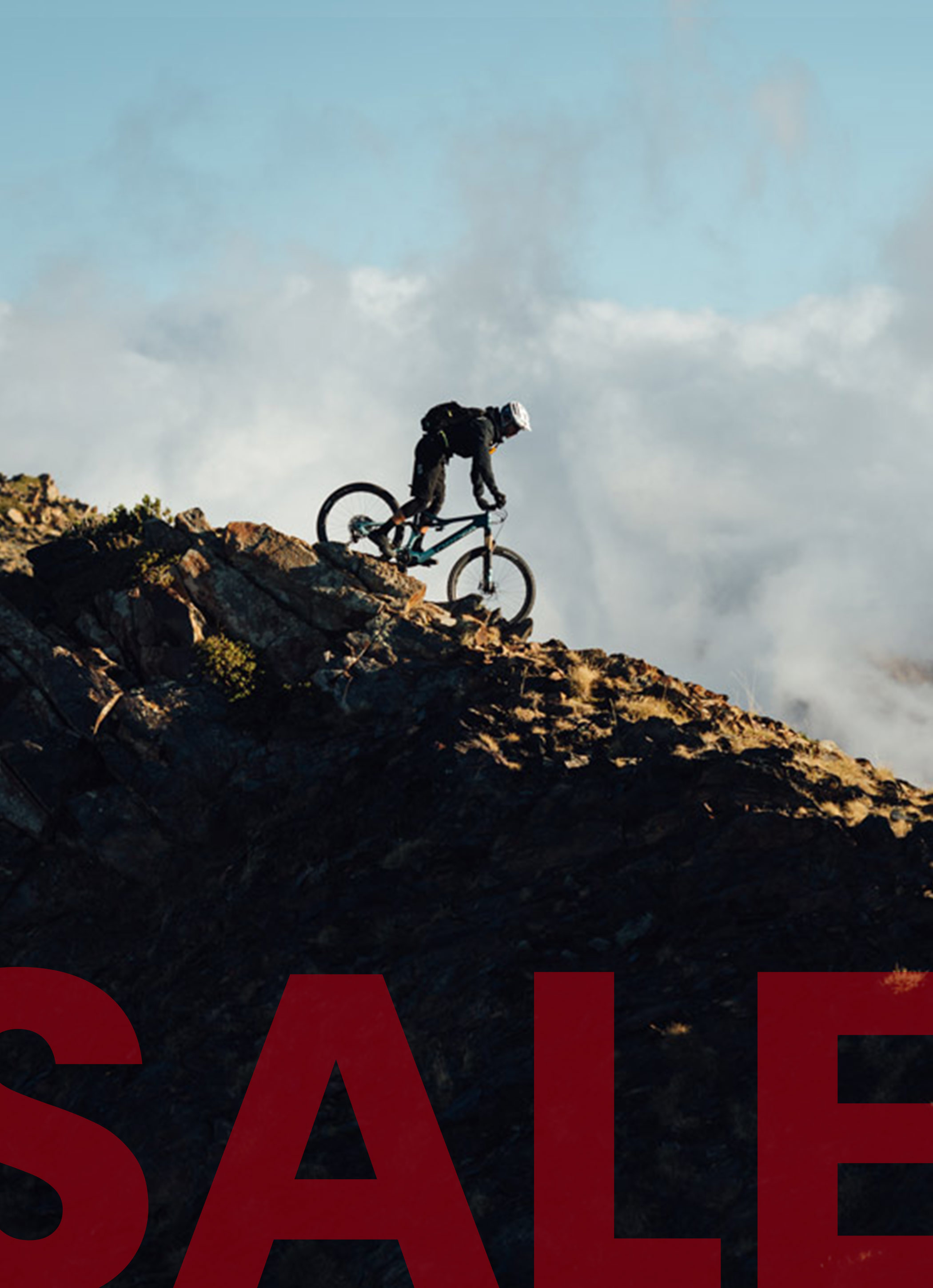 Orbea Rise Sale