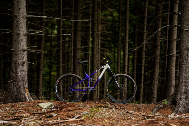 Define AL 155/1 29" Enduro/AM - Violet/Grey