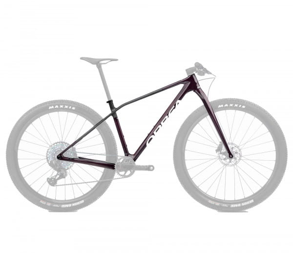 ALMA OMX+SPIRIT Red Wine Carbon View (Gloss) - Carbon Raw (Matt)