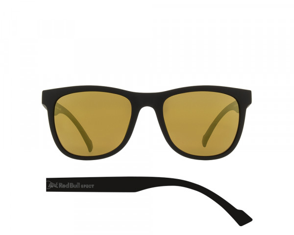 Sunglasses LAKE-002P