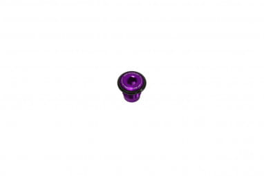 Thru Axle Bolt - UDH - purple