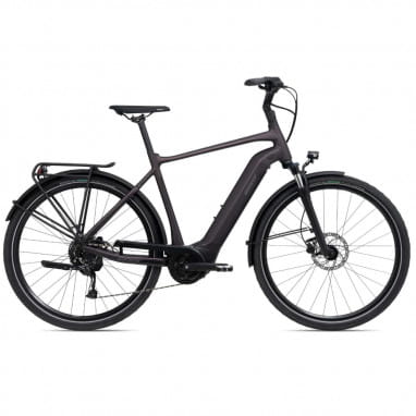 DailyTour E+ 3 (Hombre/Sport/500Wh) Palo de rosa