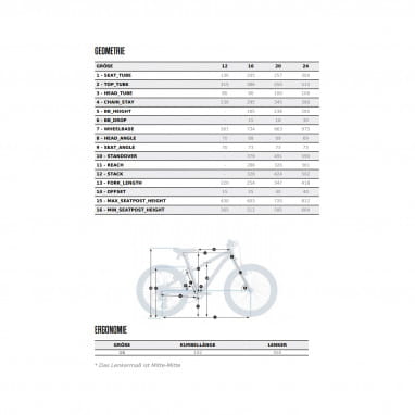 MX 16 - 16 Zoll Kids Bike - Grau/Blau/Rot