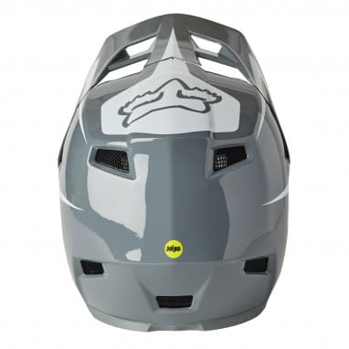 Rampage Comp Repeat CE CPSC - Fullface Helmet - PTR - Grey