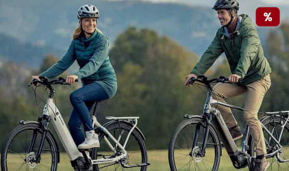 Biciclette E-Trekking in vendita