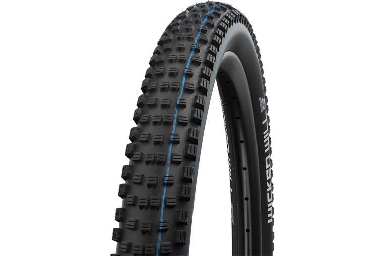 schwalbe big one 29er