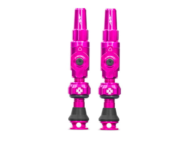 Ventile für Tubeless, Big Bore Lite - pink