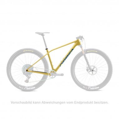 ALMA OMX Frame Carbon Blue - Gold (Gloss)